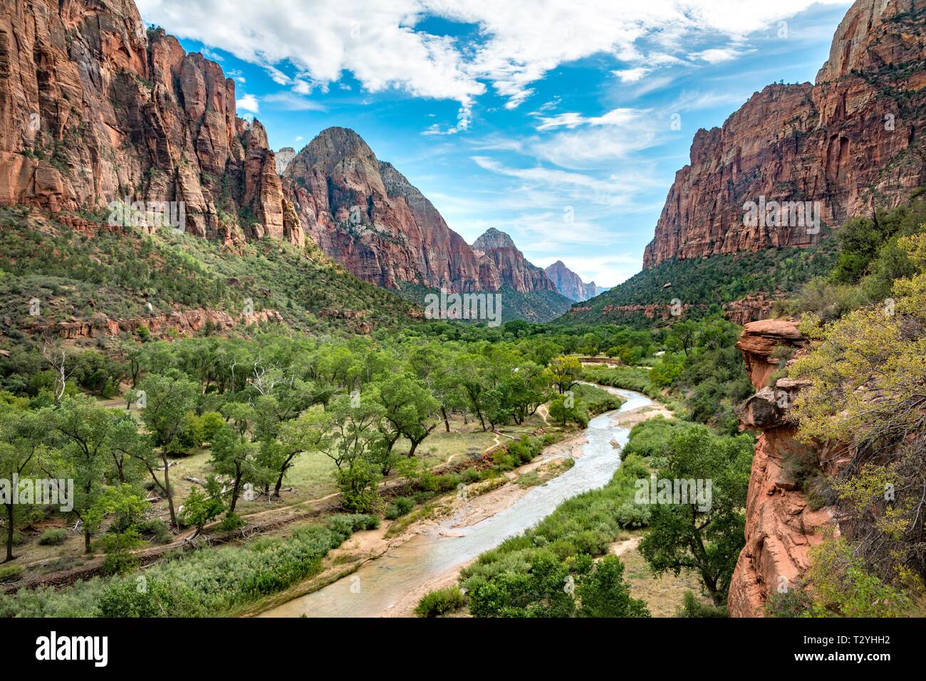 Fiume vergine fluisce attraverso Zion Canyon Zion National Park, Utah, Stati Uniti d'America Foto Stock