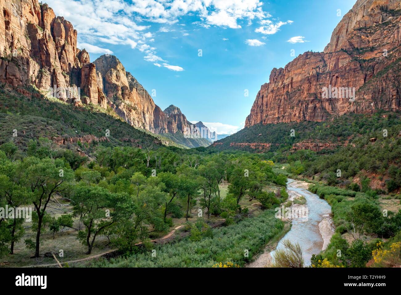 Fiume vergine fluisce attraverso Zion Canyon Zion National Park, Utah, Stati Uniti d'America Foto Stock