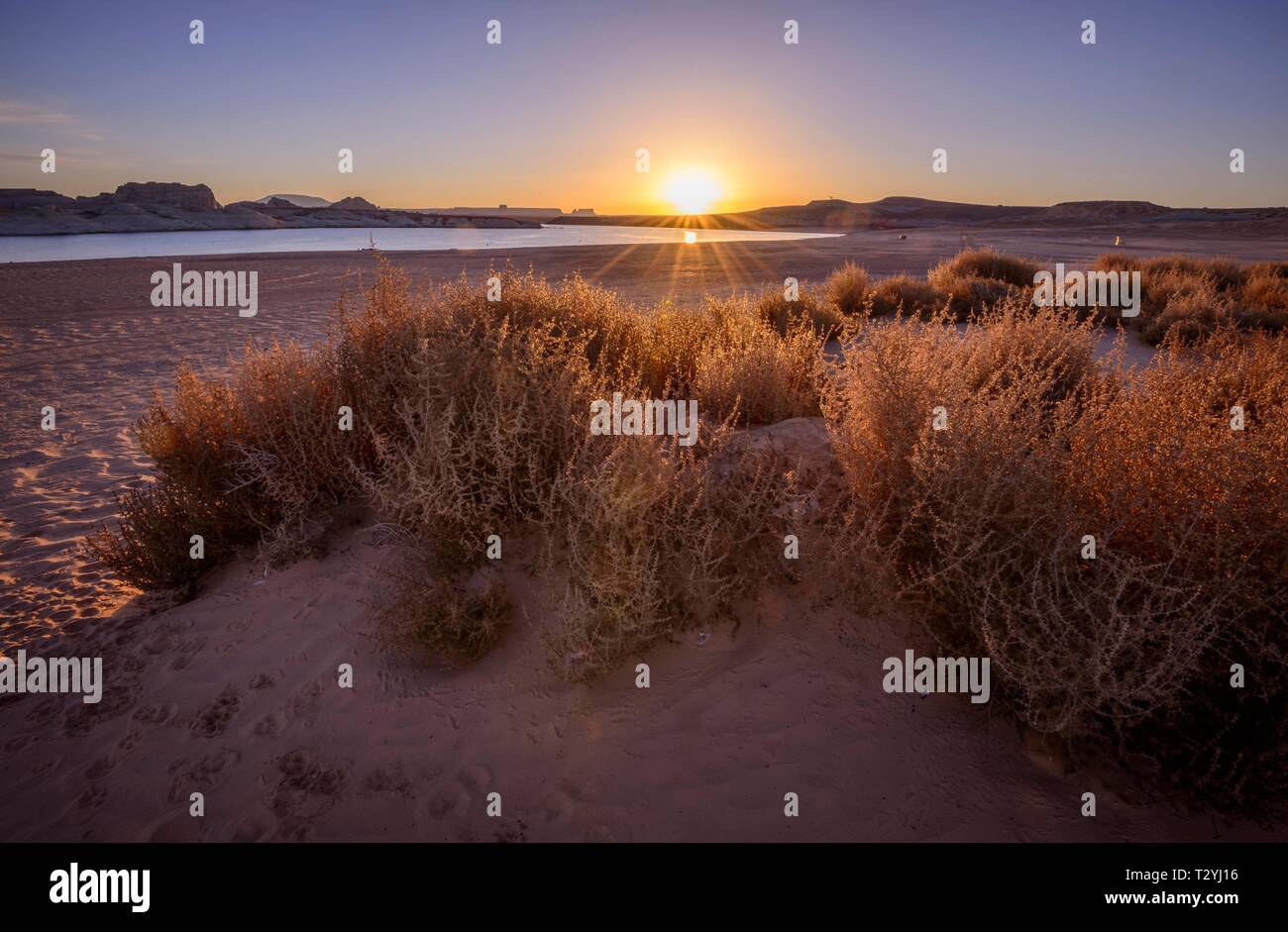 Spiaggia sabbiosa spiaggia di roccia solitaria spiaggia al lago Powell, Glen Canyon National Recreation Area, Pagina, Utah, Stati Uniti d'America Foto Stock