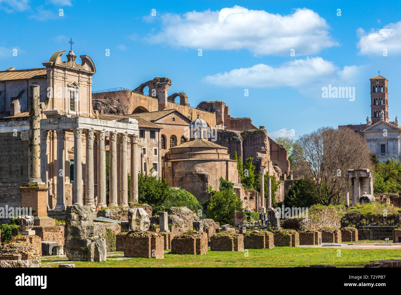 Foro Romano in giornata soleggiata, Roma, Italia Foto Stock