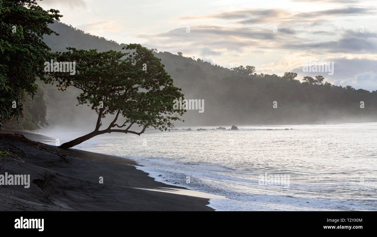 Sabbia nera vulcanica in spiaggia Tangkoko National Park. Presto la mattina nebbiosi sulla costa di Tangkoko National Park. Sulawesi. Indonesia Foto Stock