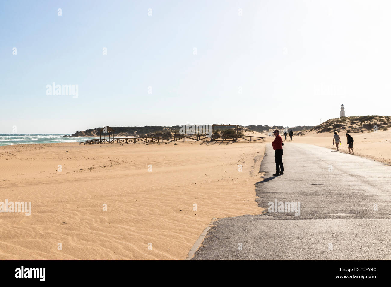 Barbate, Spagna. Le dune di sabbia a Capo Trafalgar, nella costa di Andalusia Foto Stock