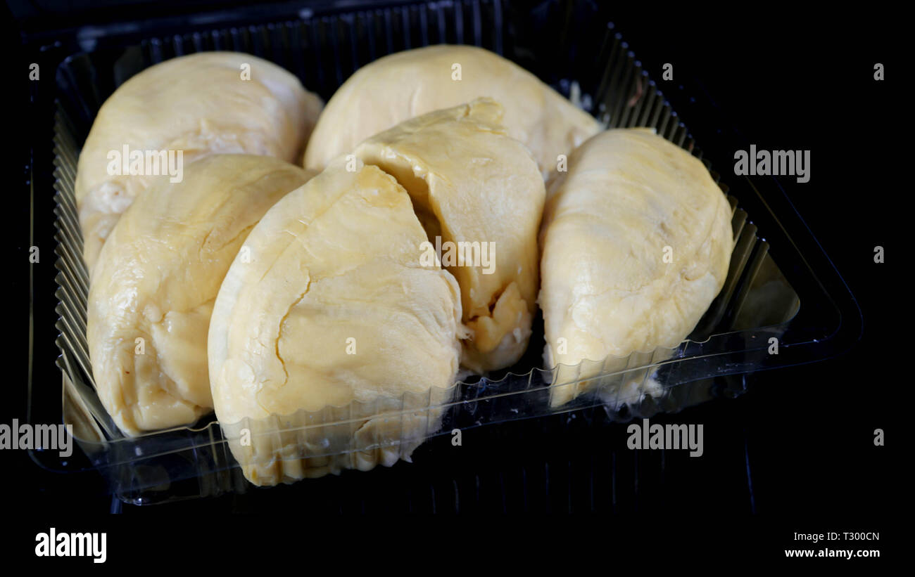 In prossimità di una apertura del contenitore in plastica imballaggi con grande giallo re Durian all'interno isolato in nero Foto Stock