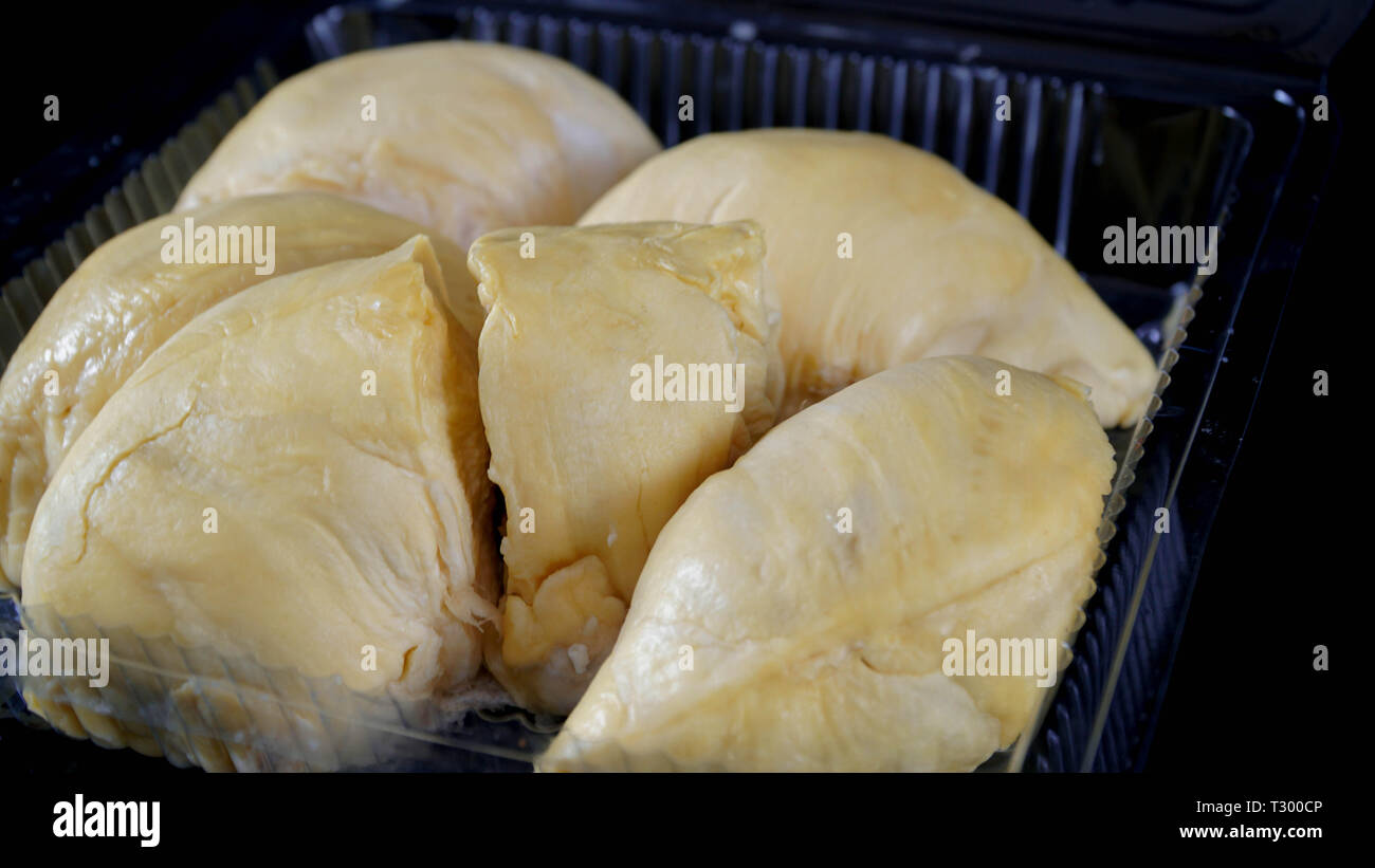 In prossimità di una apertura del contenitore in plastica imballaggi con grande giallo re Durian all'interno isolato in nero Foto Stock