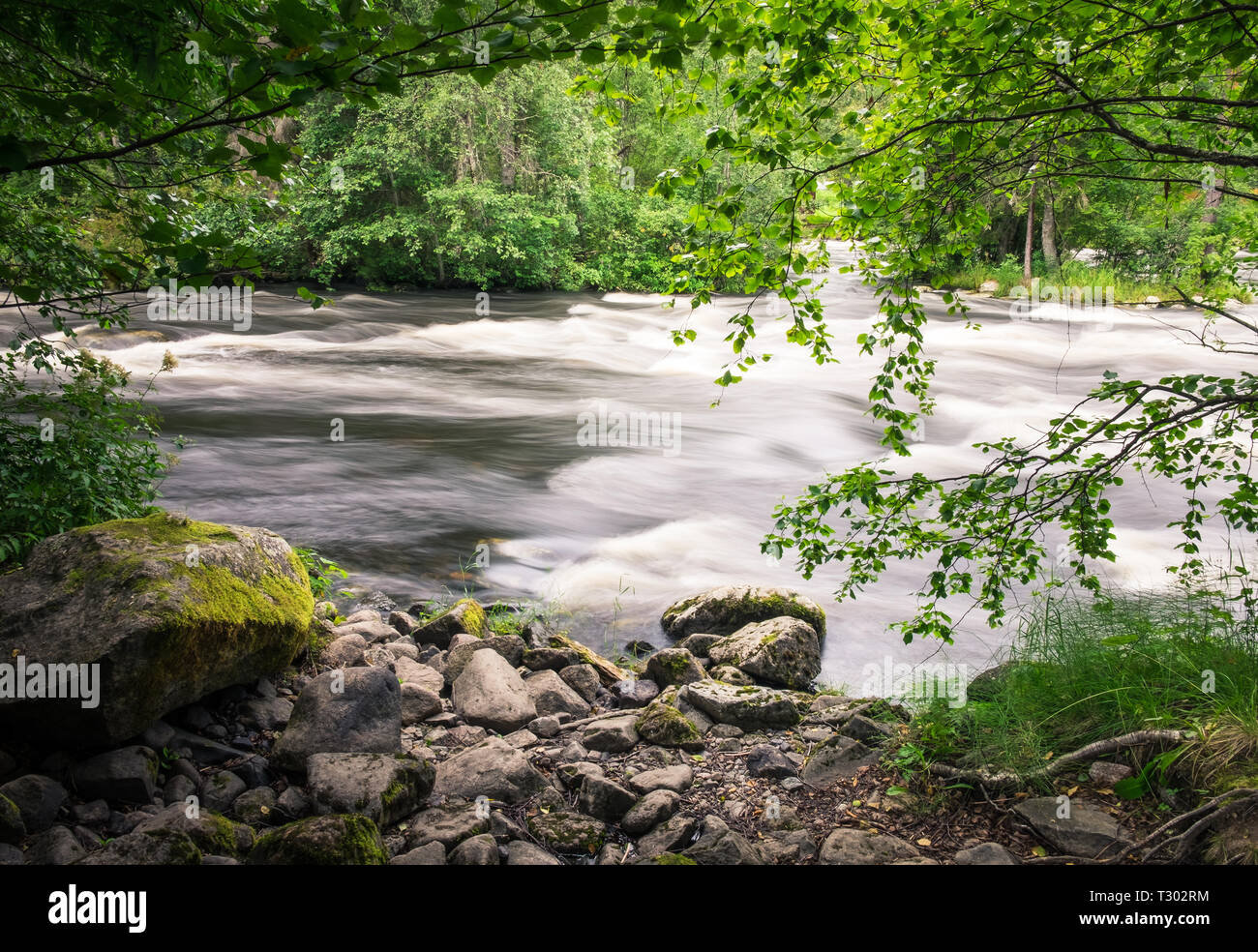 Un fiume che scorre veloce in una lunga esposizione shot con vegetazione lussureggiante foresta a giorno di estate in Finlandia Foto Stock