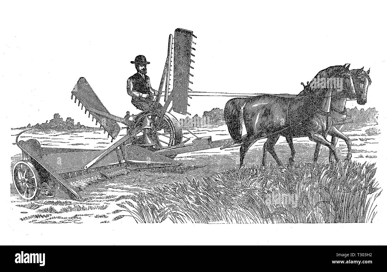 Macchine agricole del XIX secolo: cavallo tosaerba per granella con fieno e rastrelli Foto Stock