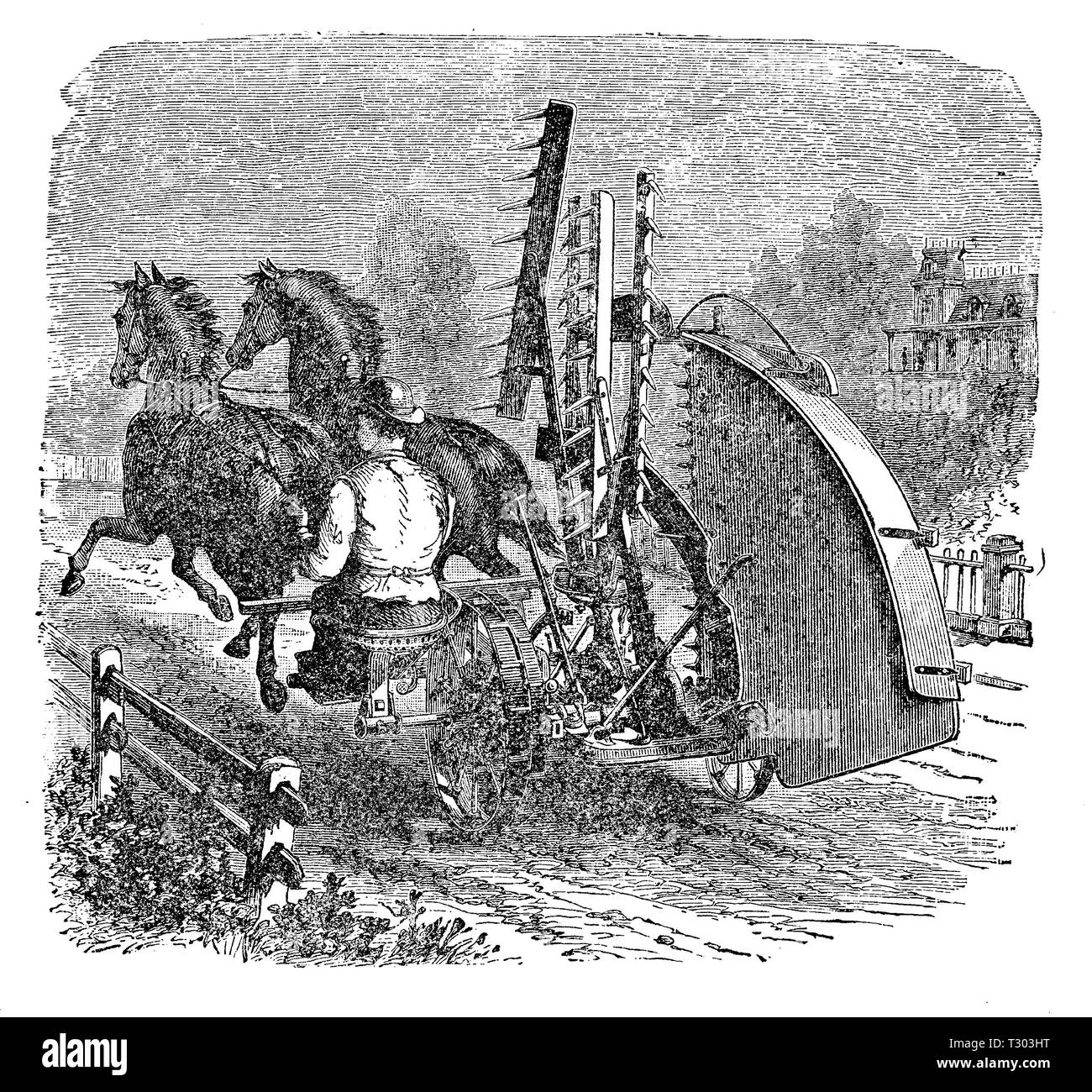 Macchina agricola del XIX secolo: un tosaerba granella addestrati da cavalli completato da rastrelli e piattaforma. Foto Stock
