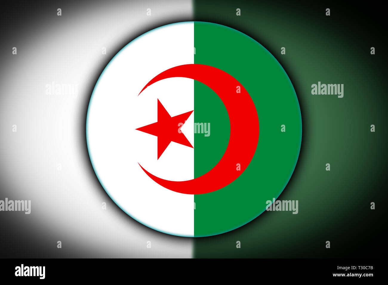 La Bandiera Nazionale Di Algeria Nella Forma Di Un Pulsante Rotondo Con La Riflessione Di Luce E Di Ombra Bandiera Nella Forma Di Un Cerchio Icona Paese Foto Stock Alamy