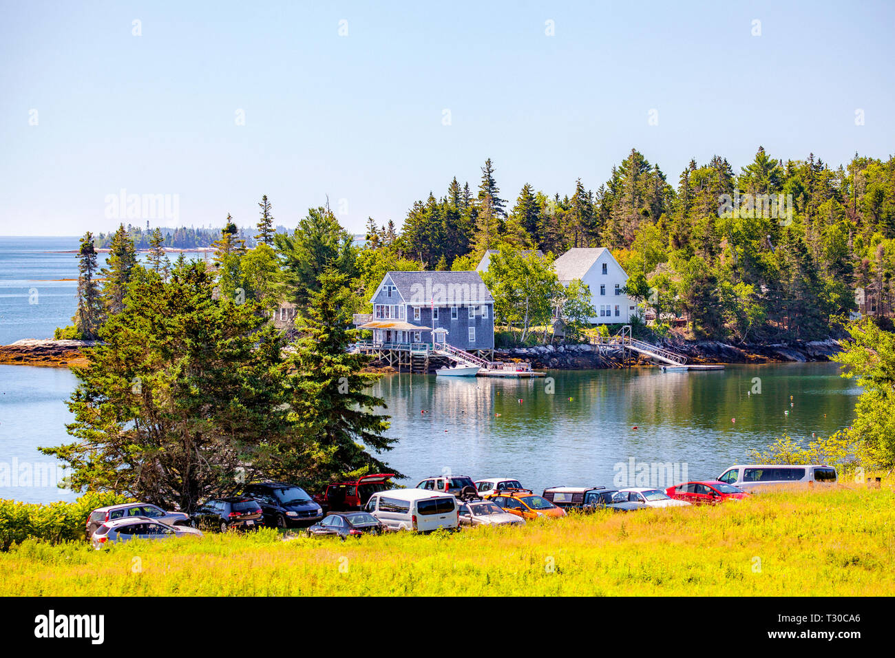 Audubon Camp su Hog Island si trova nella parte inferiore si restringe di Muscongus Bay a Brema, Maine, Stati Uniti d'America detiene estate pagato corsi su vari aspetti circa uccello Foto Stock