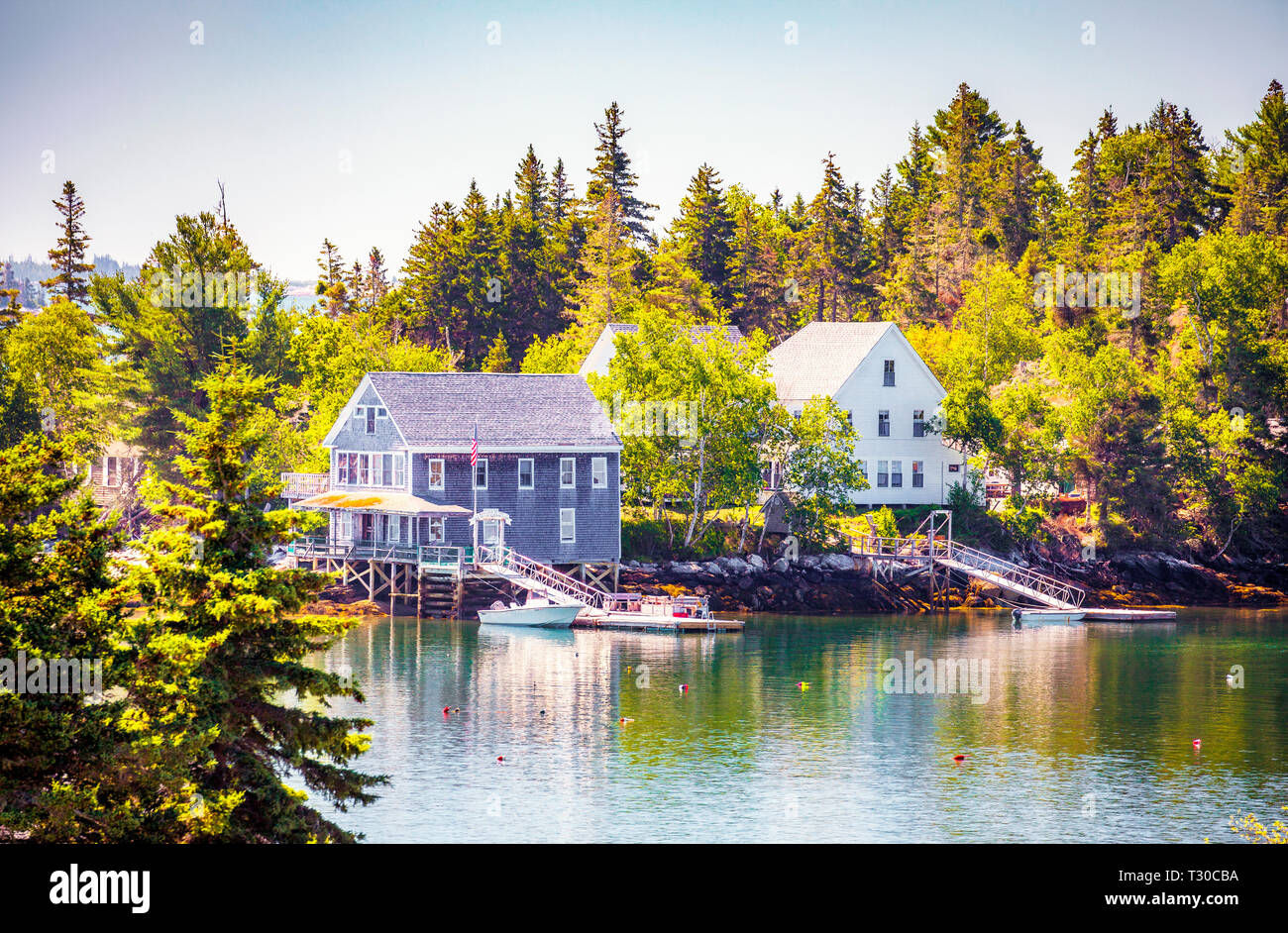 Hog Island Camp Audubon situato sulla parte inferiore si restringe di Muscongus Bay a Brema, Maine, Stati Uniti d'America. Un bird-watching paradiso per ornitologi di tutti i livelli exper Foto Stock