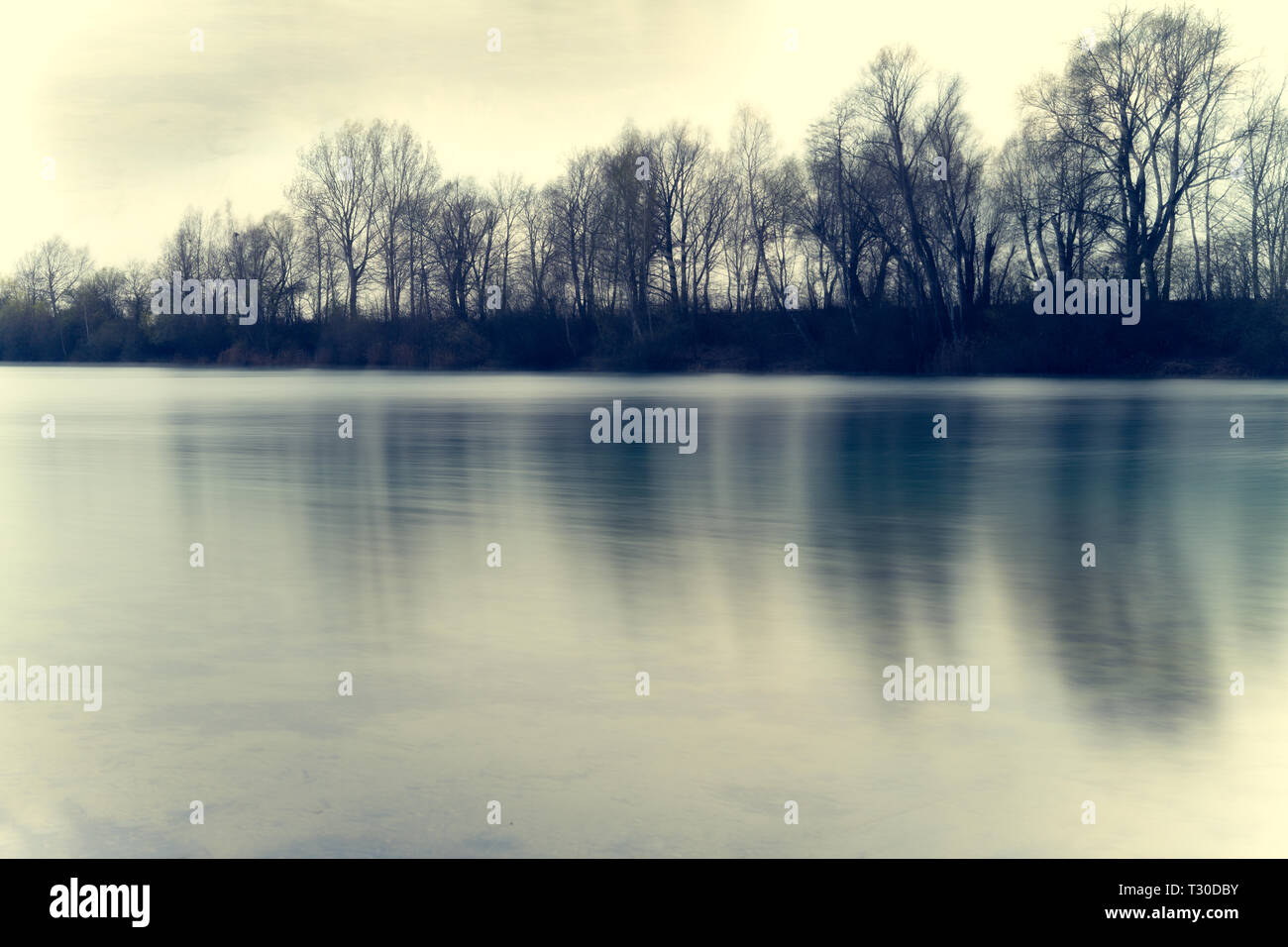 Alberi riflettendo in acqua di lago Vöttinger in Germania Foto Stock