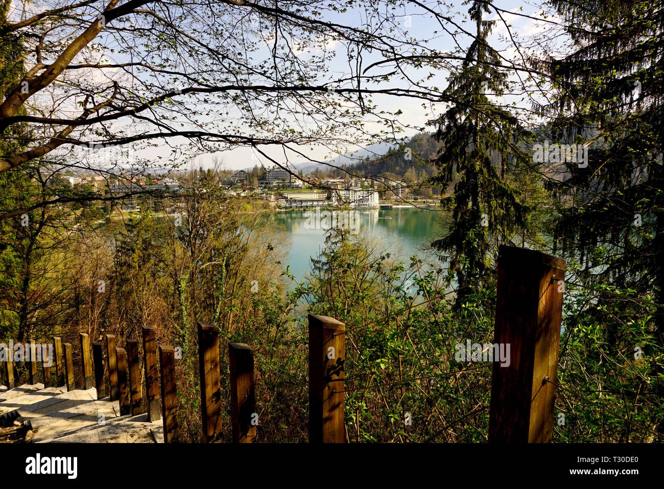 Il lago di Bled come visto dal Castello Foto Stock