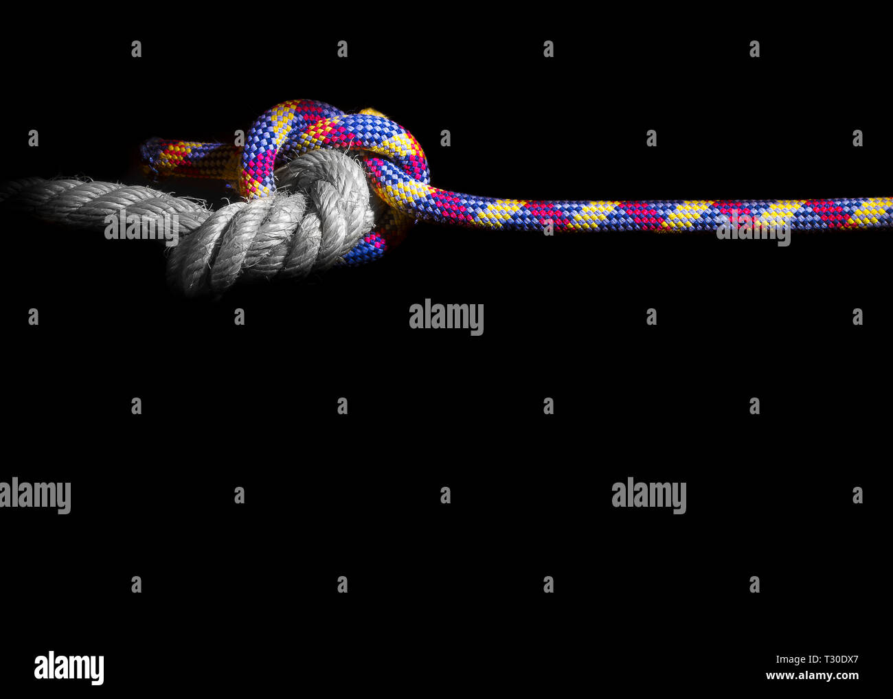Il progresso, l'evoluzione e lo sviluppo Foto Stock