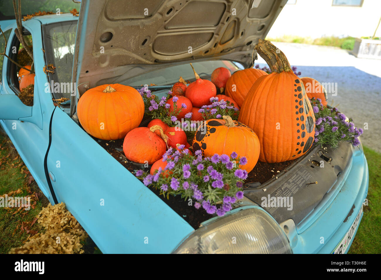 VOLCJI POTOK, Slovenia - 13 ottobre 2018: funny autunno mostra di zucca in Arboretum Volcji Potok vicino alla città di Kamnik. Foto Stock