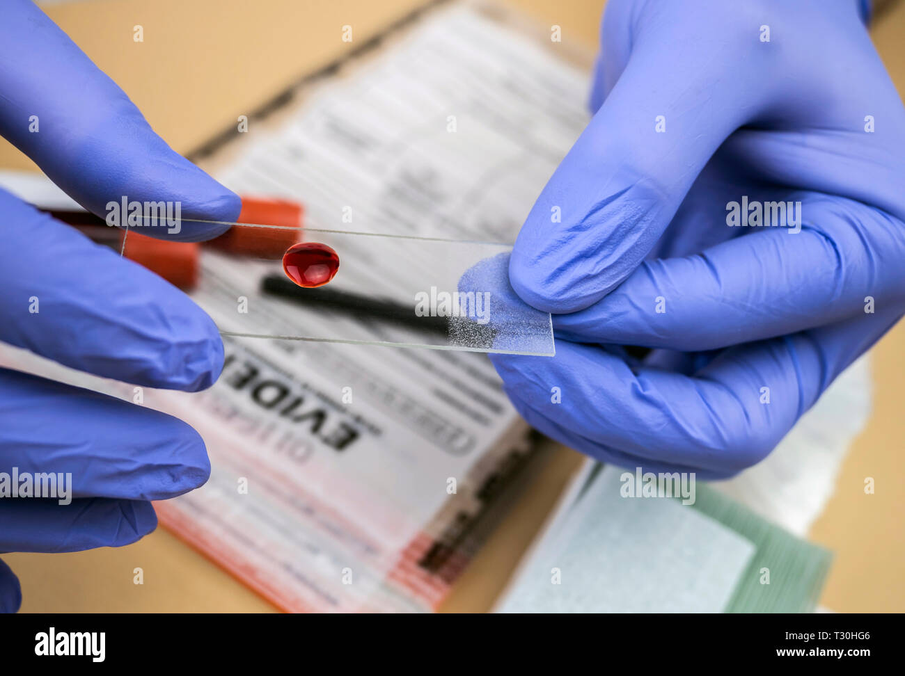 Funzionario di polizia criminologia prende i campioni di sangue di omicidio, immagine concettuale Foto Stock