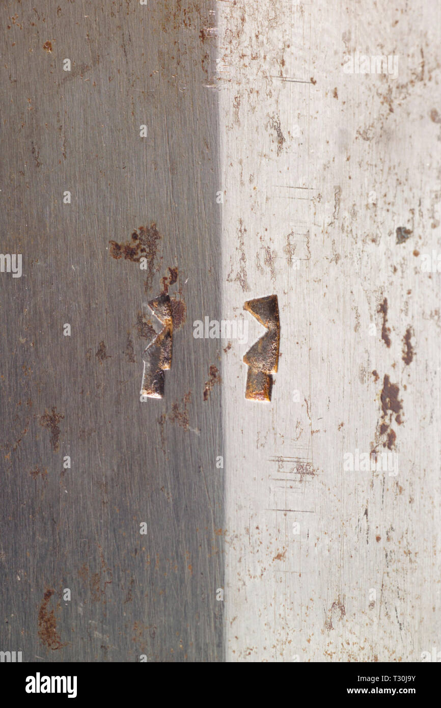 Armi, pugnale, XVI secolo, Additional-Rights-Clearance-Info-Not-Available Foto Stock