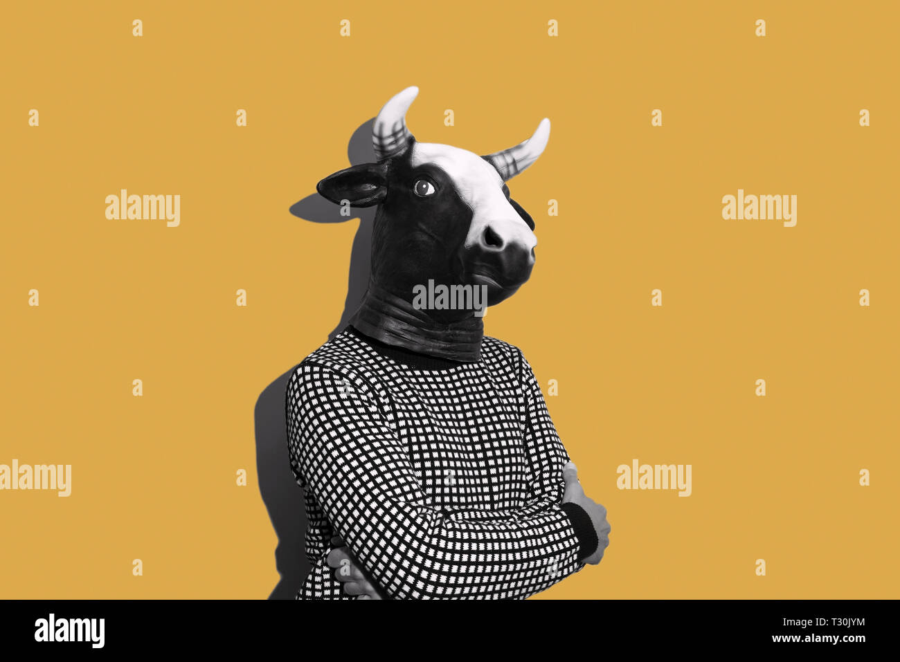 Giovane uomo caucasico con una maschera di vacca, in bianco e nero su sfondo giallo con un po' di spazio vuoto sul suo su entrambi i lati Foto Stock