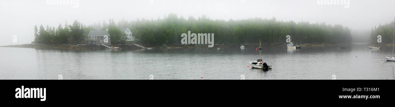 Panorama in una nebbiosa mattina presso la Audubon Camp a Hog Island situato sulla baia di Muscongus, Brema, Maine, Stati Uniti d'America. Foto Stock