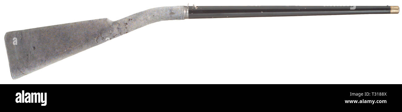 Bracci lunghi, inizio air rifle in caso James Townsend, Birmingham, circa 1850 Additional-Rights-Clearance-Info-Not-Available Foto Stock