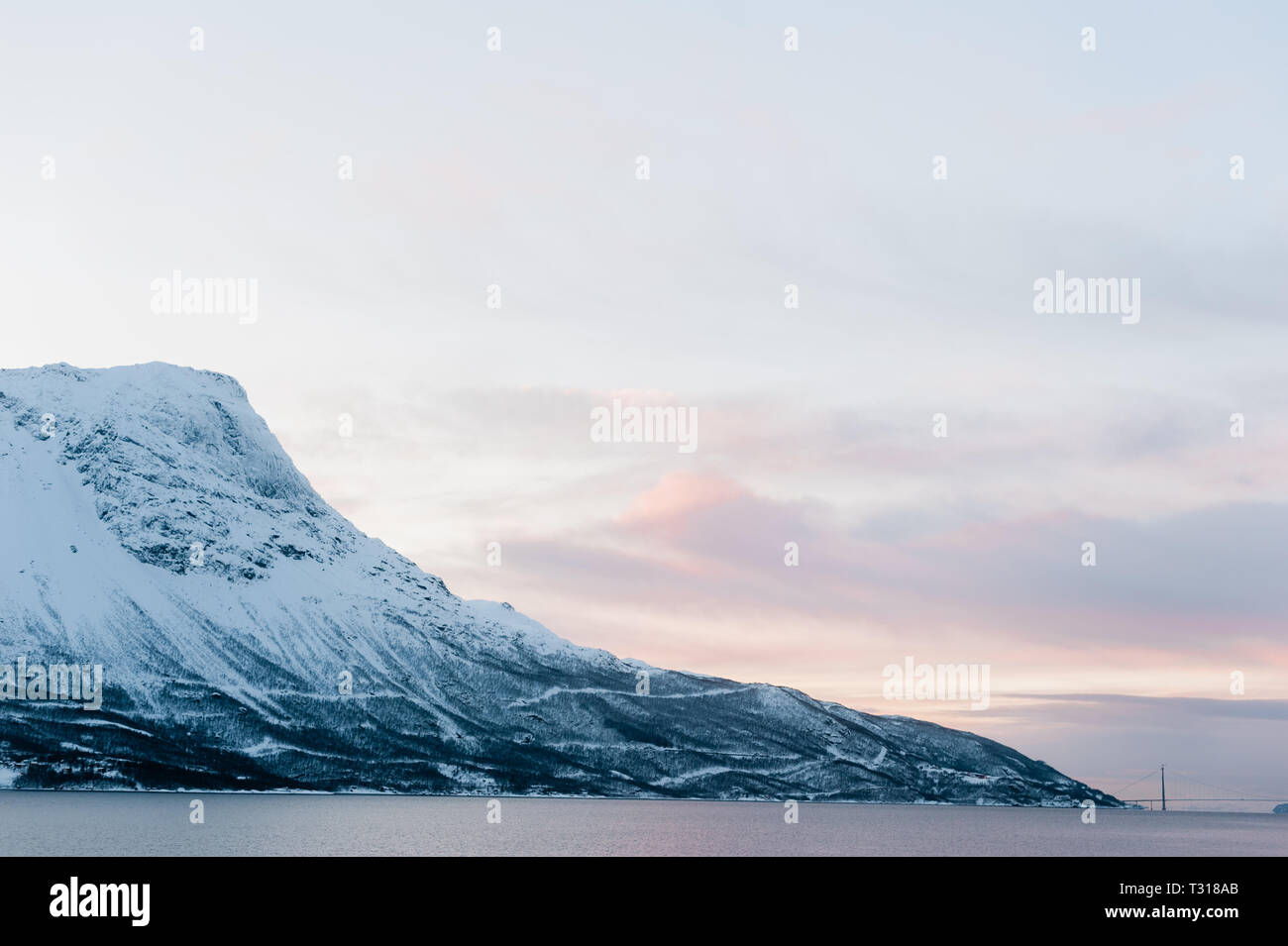 Montagna innevata a Lofoten, Norvegia, giornata fredda d'inverno, cielo rosa, monaca innevata, oceano Foto Stock
