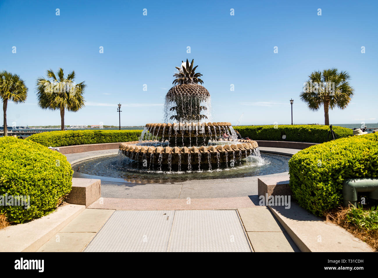 Fontana di Charleston, South Carolina, chiamato fontana di ananas Foto Stock