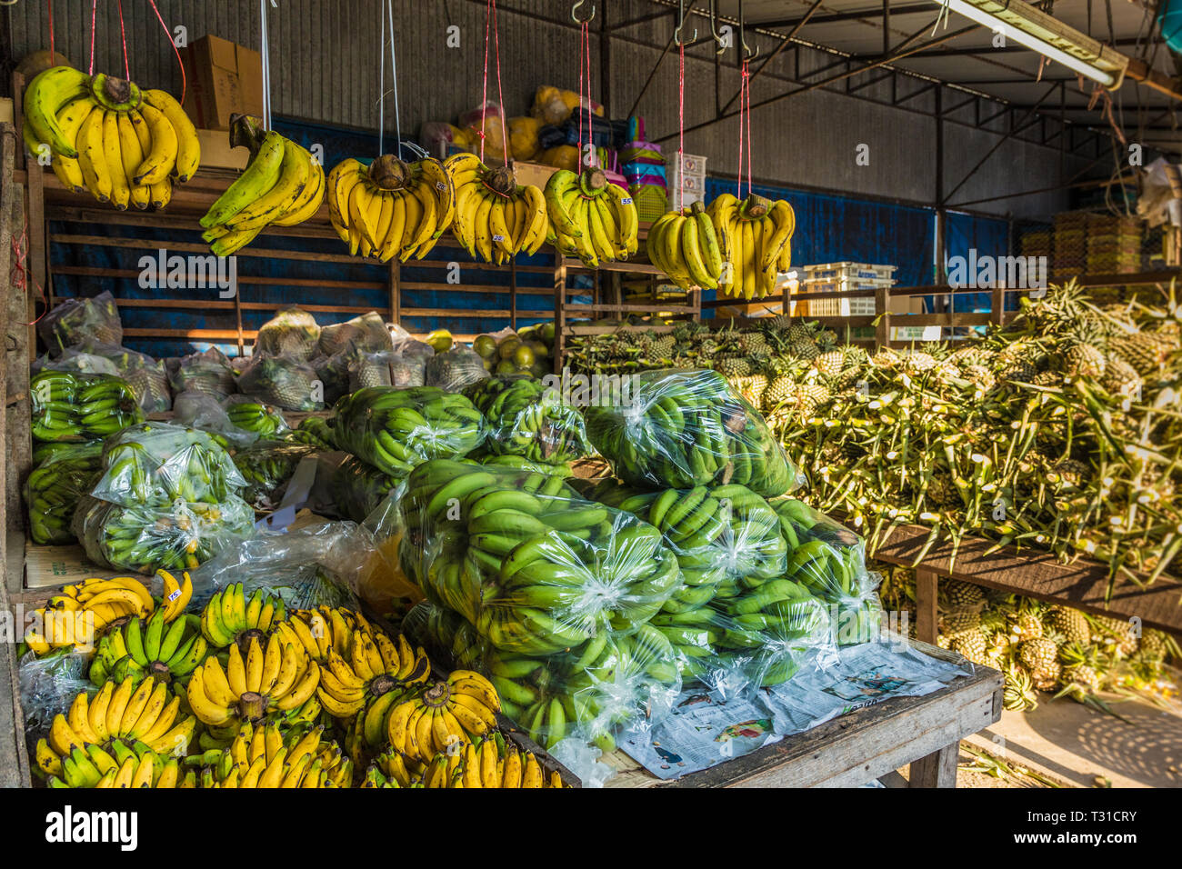 Febbraio 2019. Città di Phuket Thailandia. Una banana in stallo alla 24 ora il mercato locale della frutta nella vecchia città di Phuket Foto Stock