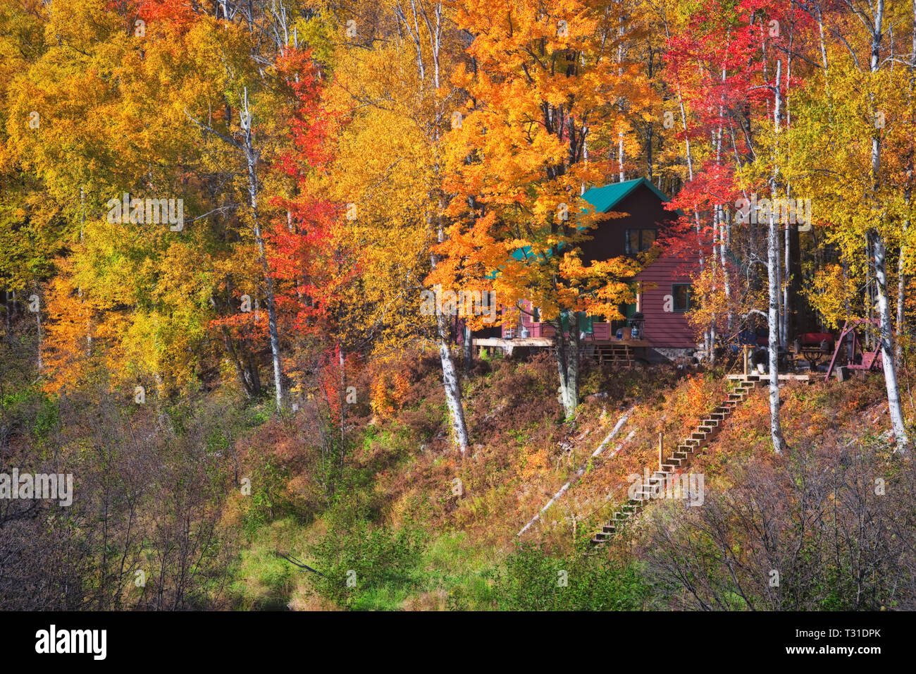 Home accoccolato tra l'autunno splendore della Penisola Superiore del Michigan. E'Ottawa National Forest. Foto Stock