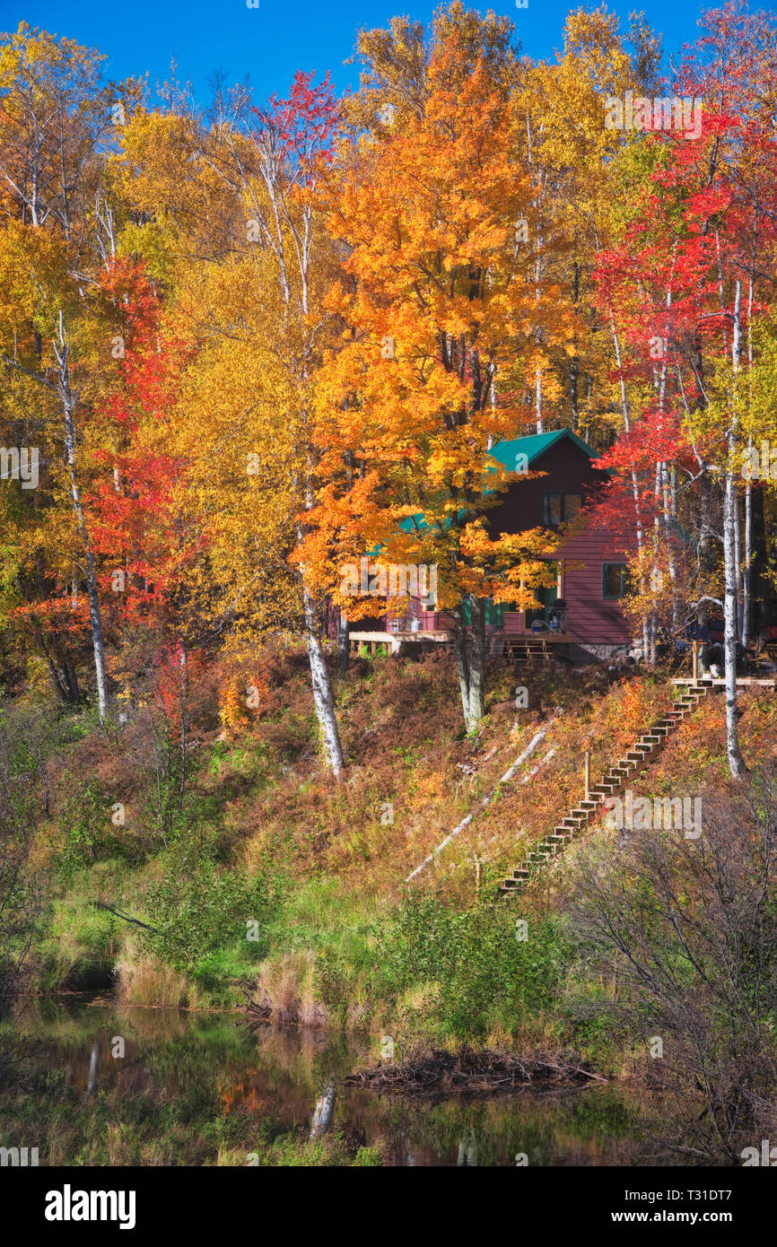 Home accoccolato tra l'autunno splendore della Penisola Superiore del Michigan. E'Ottawa National Forest. Foto Stock
