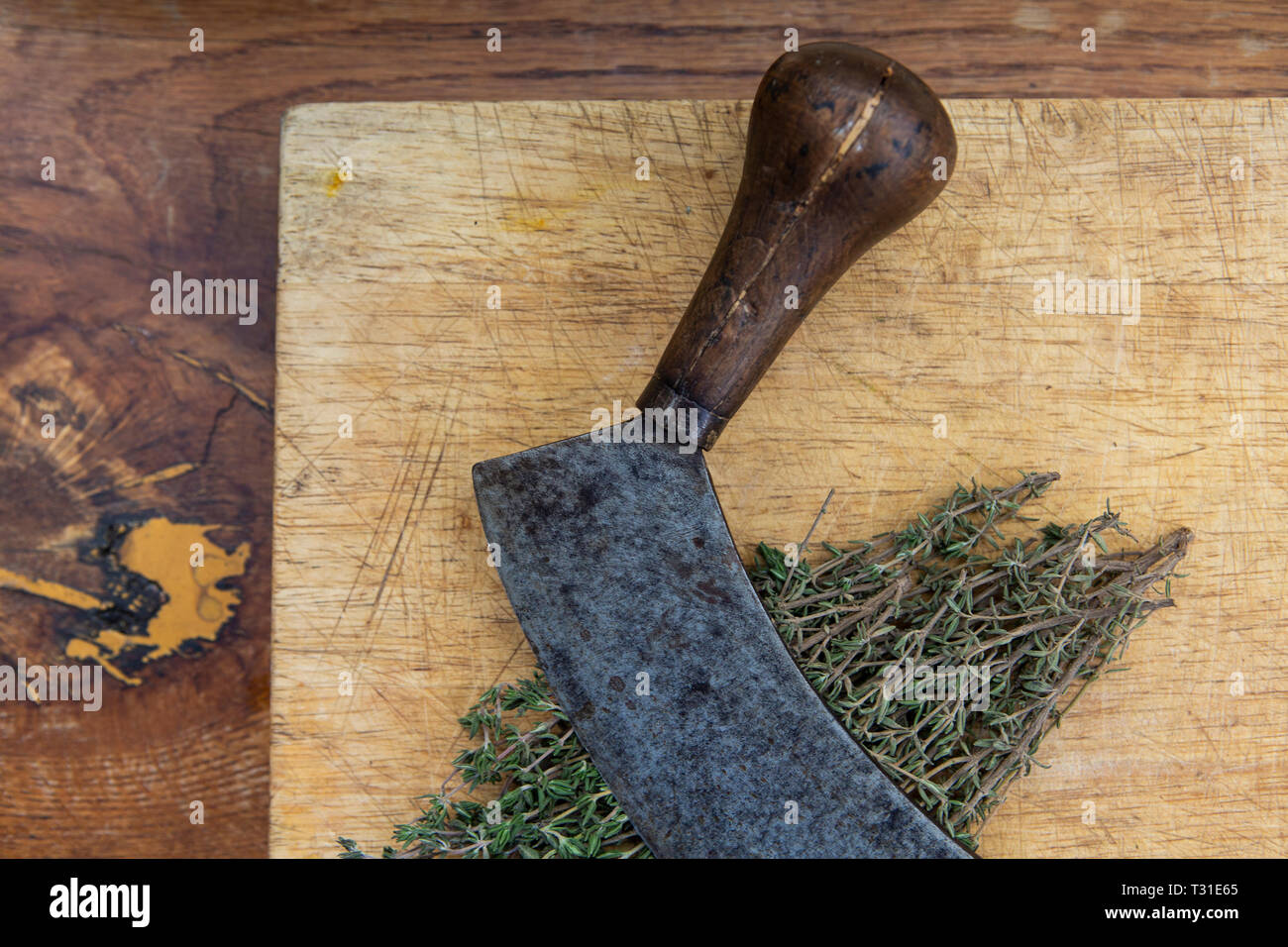 Mezzaluna e tagliere di legno con di timo fresco Foto Stock