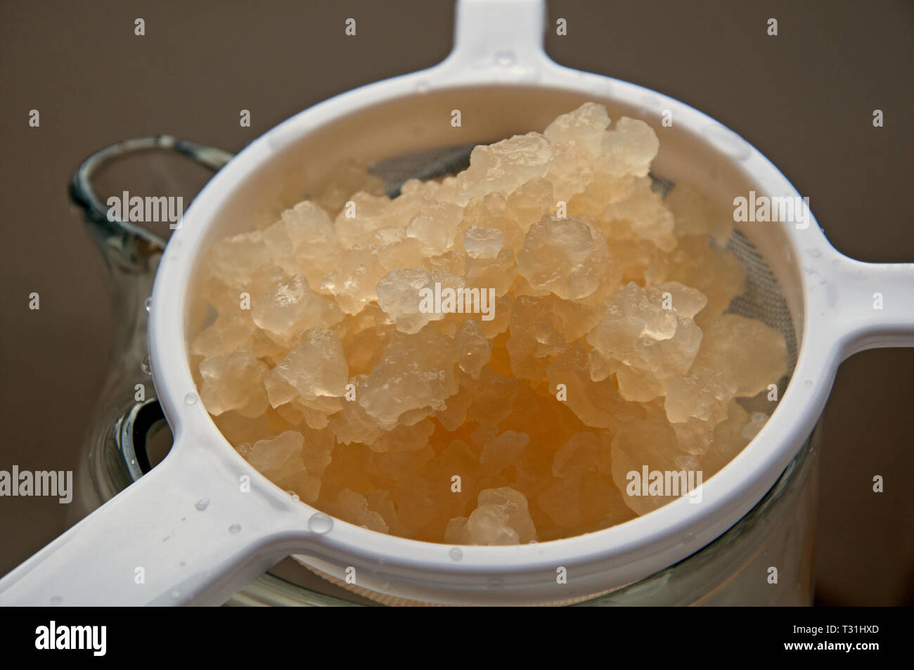 Primo piano di acqua kefir grani in un filtro di colore bianco. Sani e naturali di ceppo probiotico di batteri buoni in questa immagine orizzontale. Foto Stock