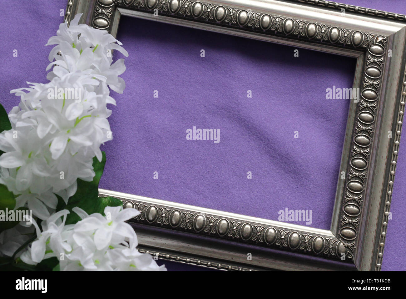Modello per schede, vi è un posto per un'iscrizione. Sulla cartolina vintage telaio e fiore bianco. Sfondo violetto. Foto Stock