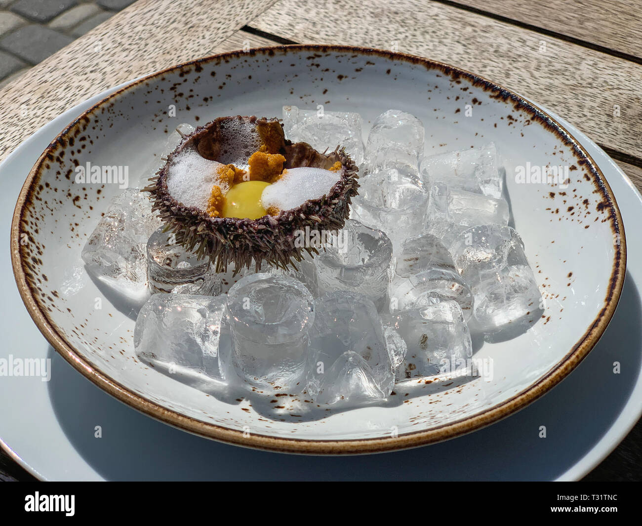 Fresh ricci di mare su ghiaccio, fresche dei ricci di mare con uovo di quaglia in un ristorante sulla veranda aperta. Foto Stock