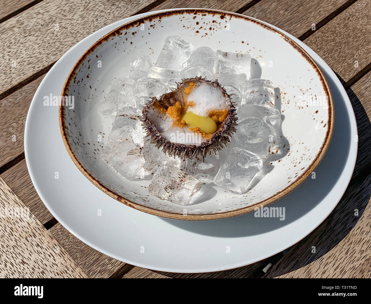 Fresh ricci di mare su ghiaccio, fresche dei ricci di mare con uovo di quaglia in un ristorante sulla veranda aperta. Foto Stock