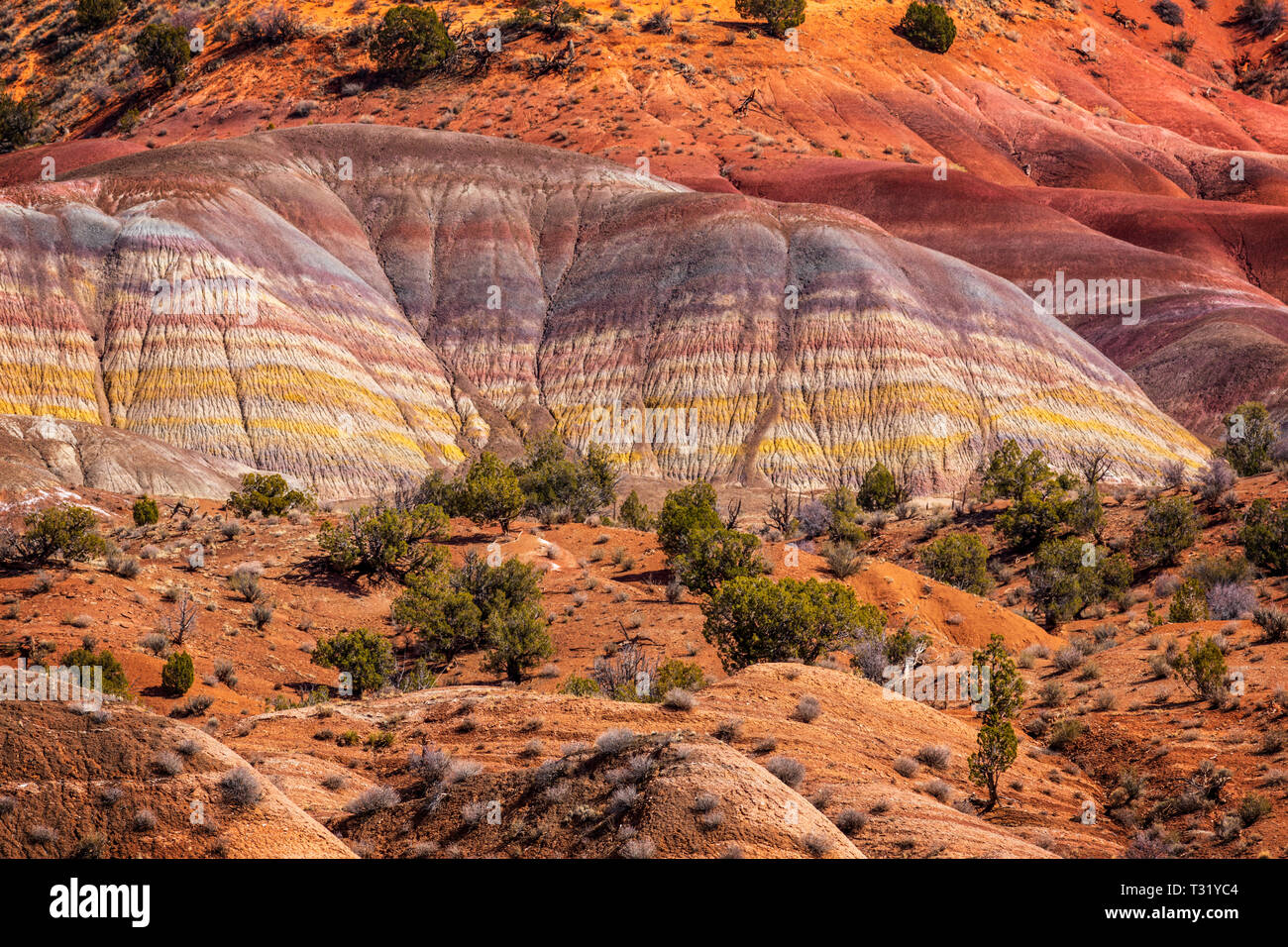Canyon Colorato di Southwest USA Arizona e Utah Foto Stock