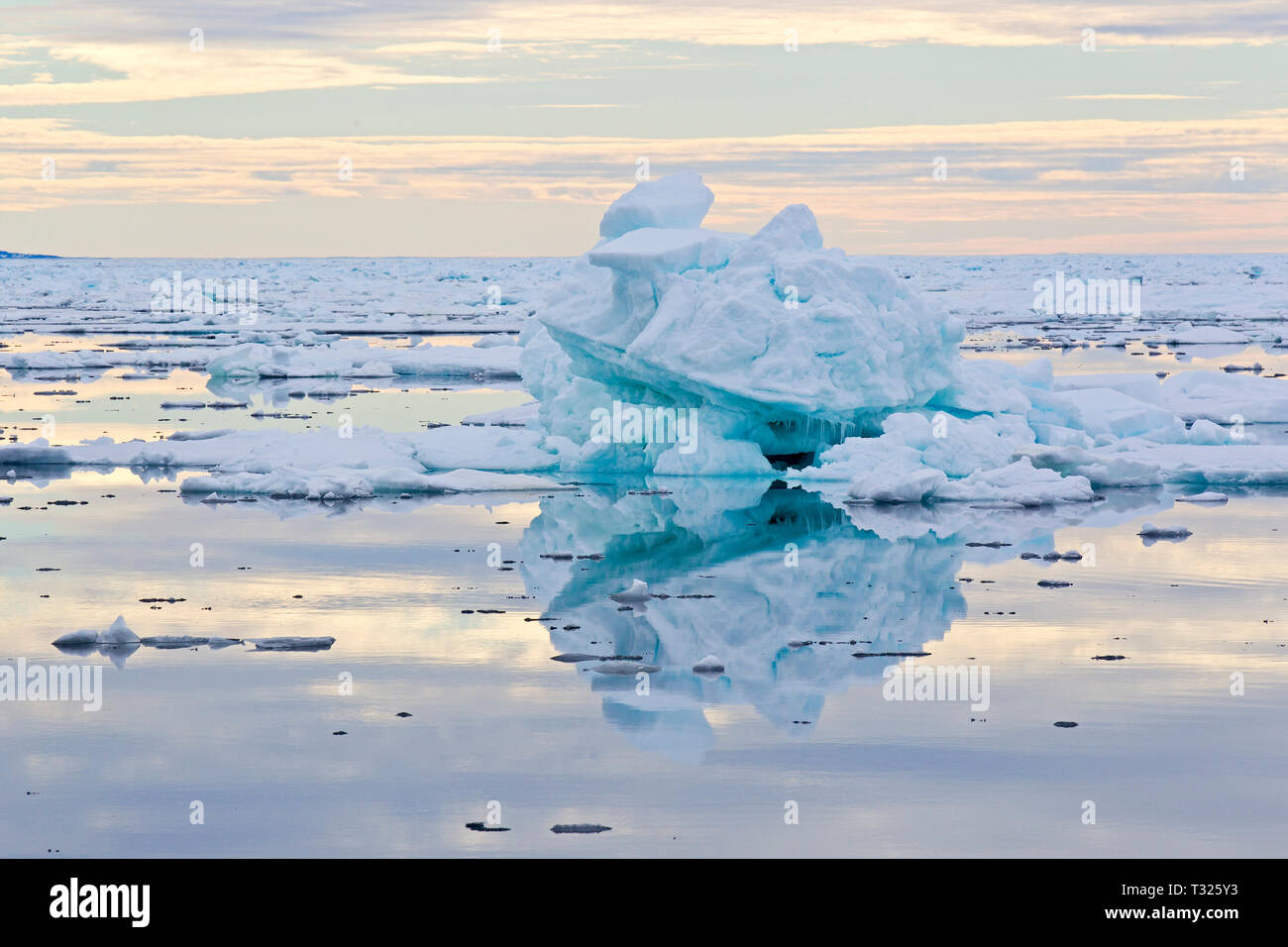 Piccoli iceberg, Spitsbergen, Oceano Artico, Norvegia Foto Stock