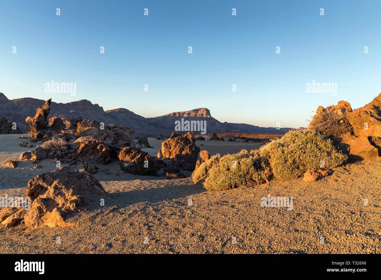 Il paesaggio vulcanico di basalto e rocce di pomice a Las Minas de San Jose all'alba nel Las Canadas del Parco Nazionale del Teide Tenerife, Canarie ISL Foto Stock