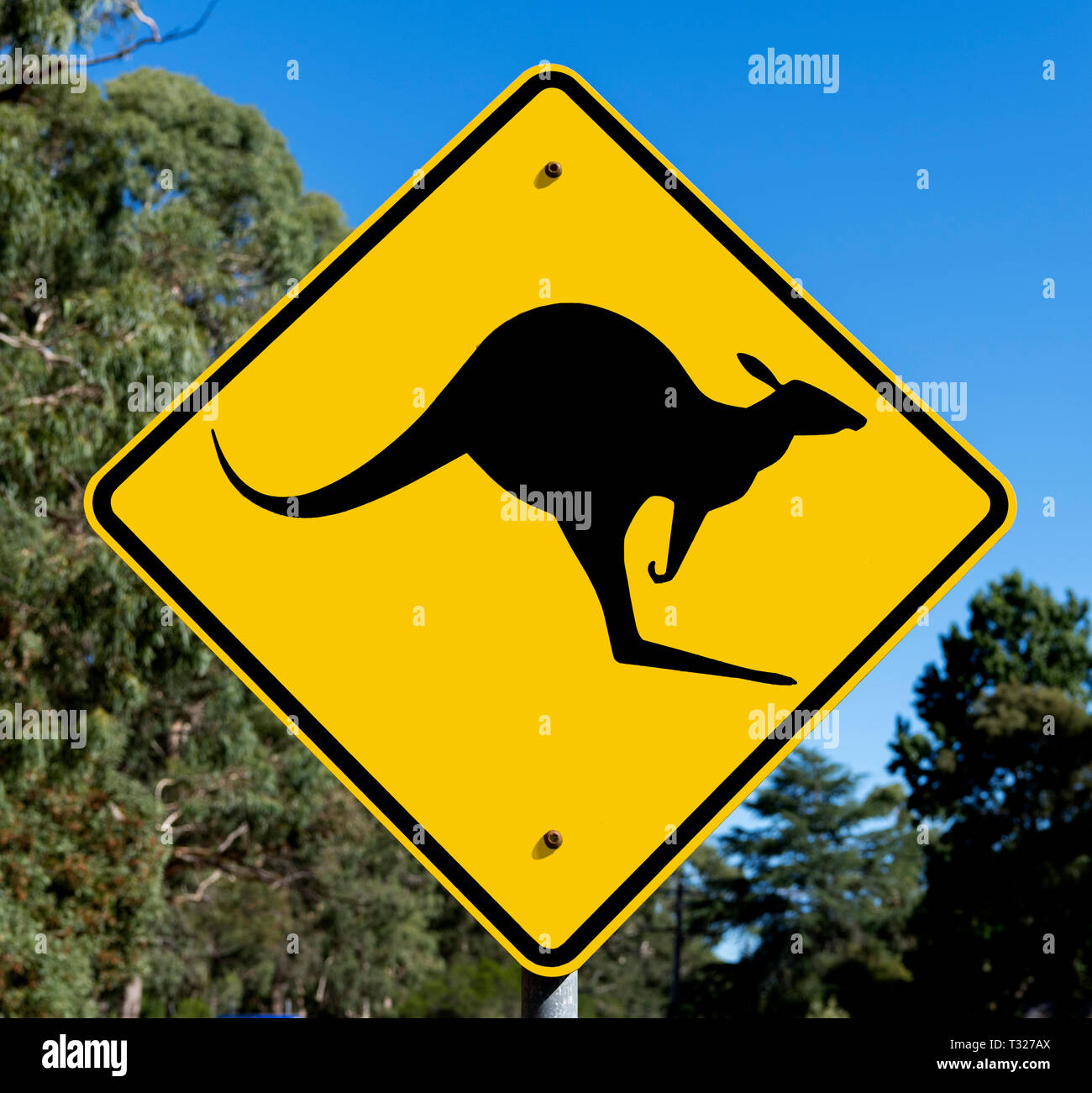 Attenzione dei canguri crossing road sign in il Grampians, Victoria, Australia Foto Stock