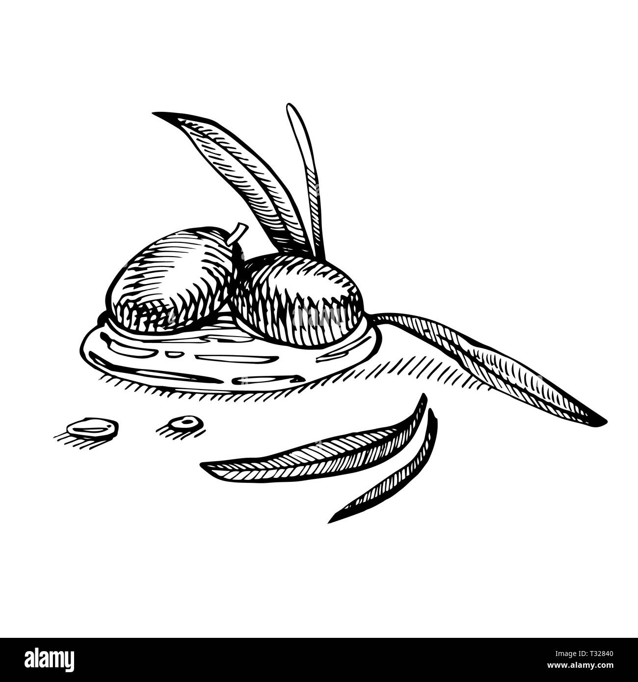 Un ramo di olive mature è succosa versata con olio. Mercato degli Agricoltori menu design. Alimenti biologici poster. Mano Vintage bozzetto illustrazione. Grap lineare Foto Stock