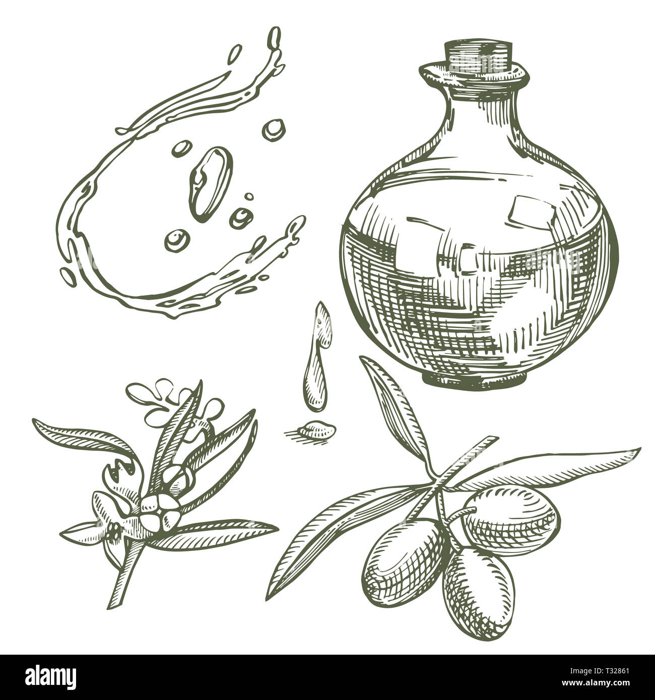 Un ramo di olive mature è succosa versata con olio. Mercato degli Agricoltori menu design. Alimenti biologici poster. Mano Vintage bozzetto illustrazione. Grap lineare Foto Stock