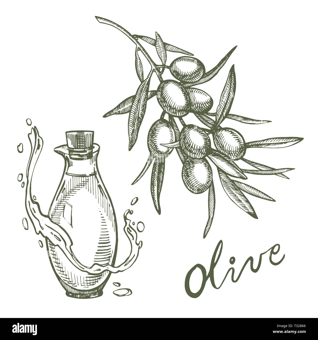 Un ramo di olive mature è succosa versata con olio. Mercato degli Agricoltori menu design. Alimenti biologici poster. Mano Vintage bozzetto illustrazione. Grap lineare Foto Stock