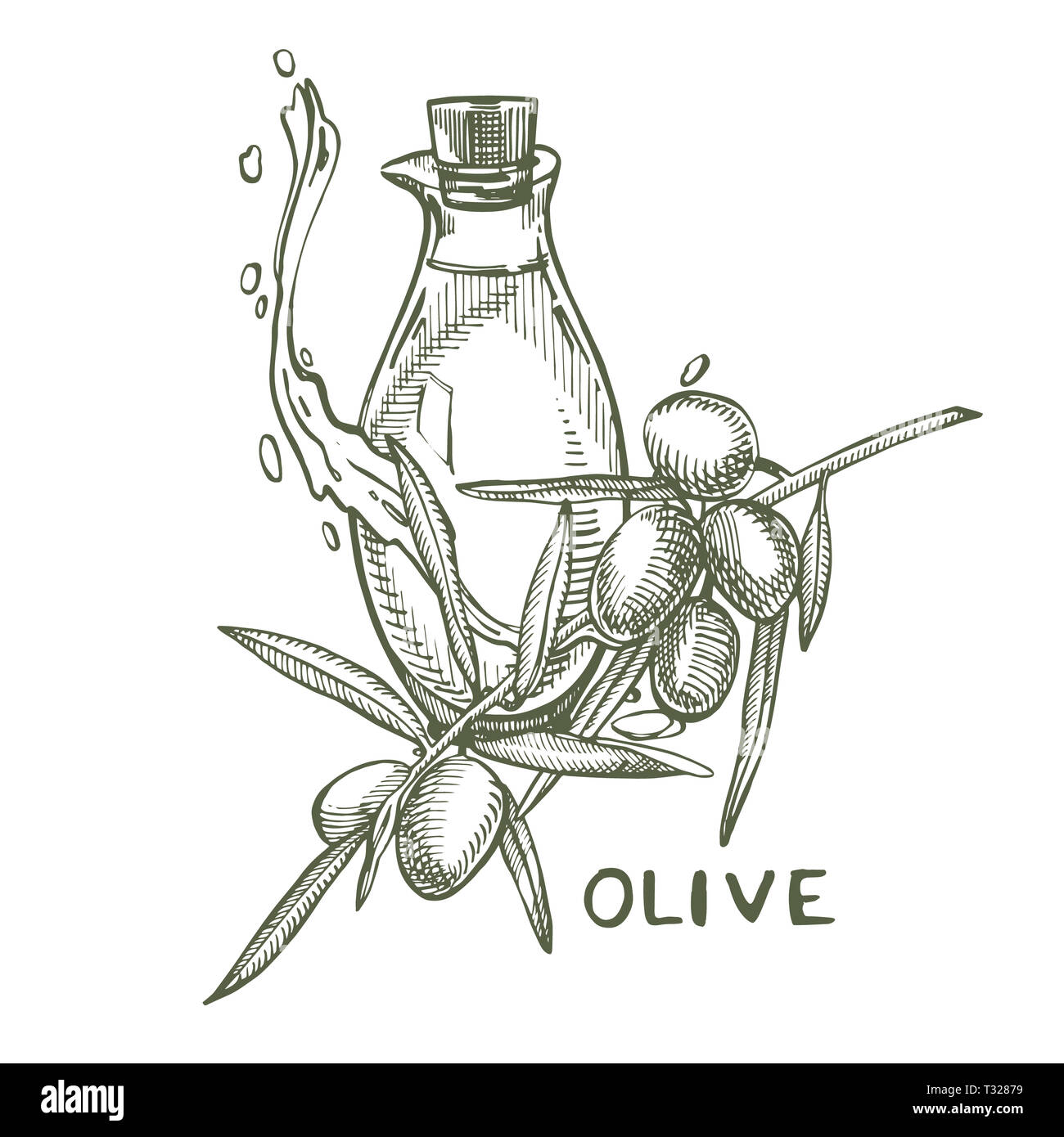 Un ramo di olive mature è succosa versata con olio. Mercato degli Agricoltori menu design. Alimenti biologici poster. Mano Vintage bozzetto illustrazione. Grap lineare Foto Stock
