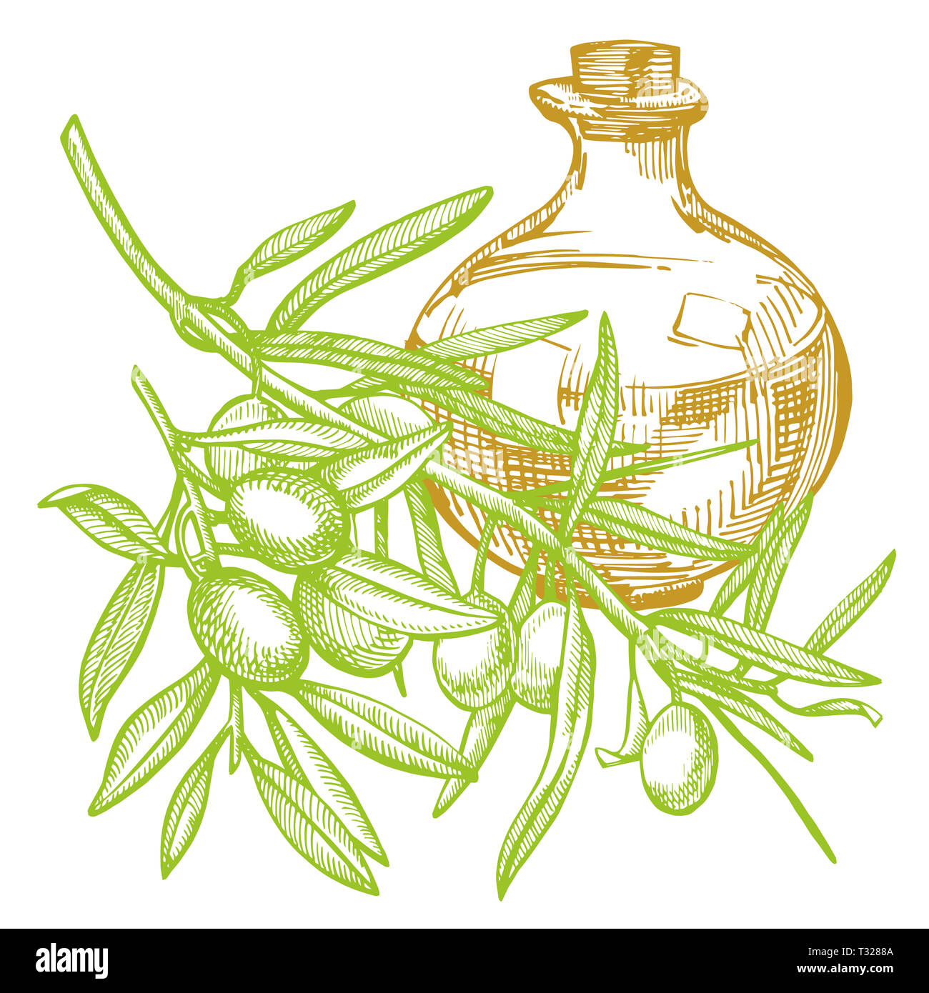 Un ramo di olive mature è succosa versata con olio. Mercato degli Agricoltori menu design. Alimenti biologici poster. Mano Vintage bozzetto illustrazione. Grap lineare Foto Stock