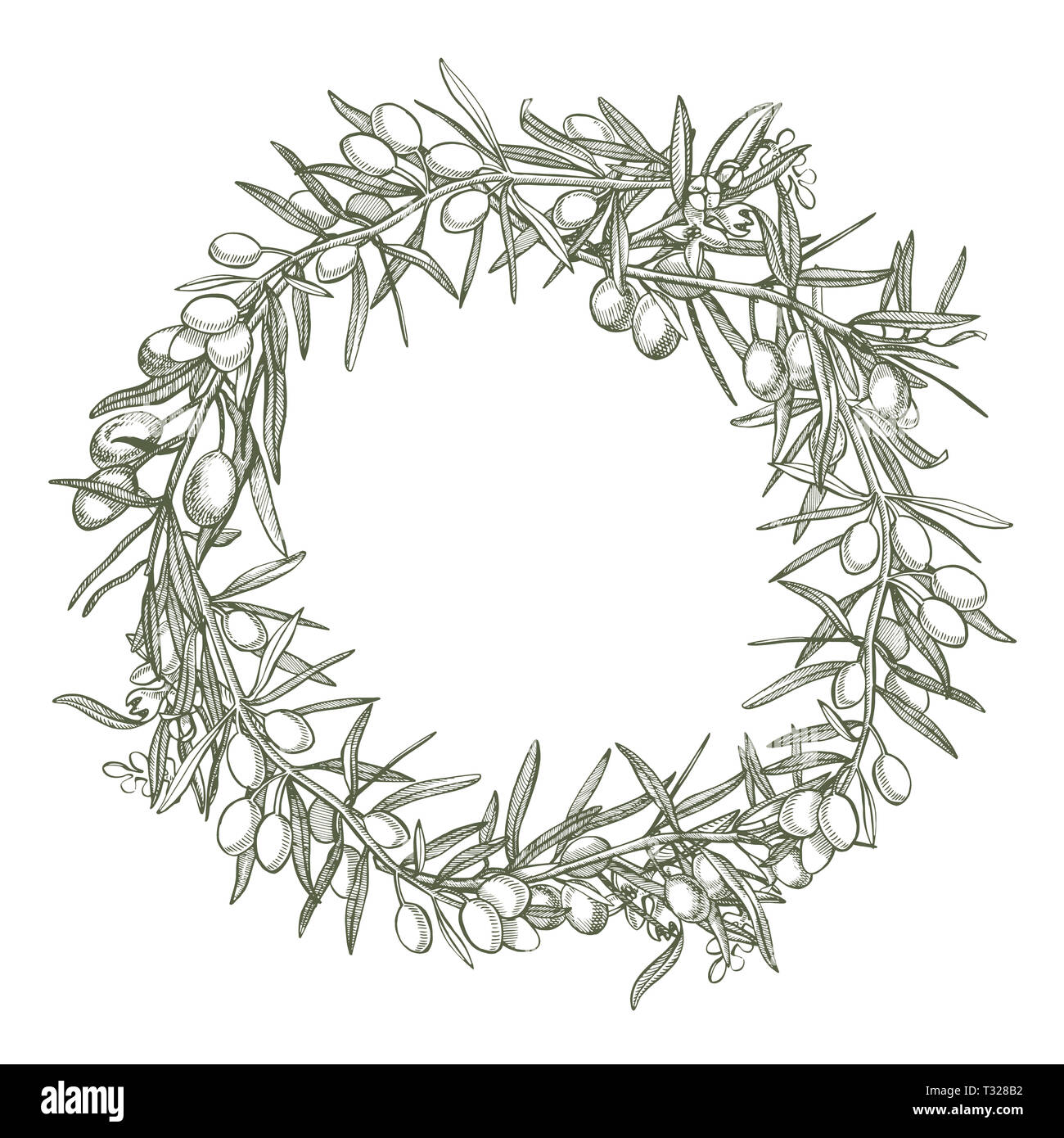 Un ramo di olive mature è succosa versata con olio. Mercato degli Agricoltori menu design. Alimenti biologici poster. Mano Vintage bozzetto illustrazione. Grap lineare Foto Stock