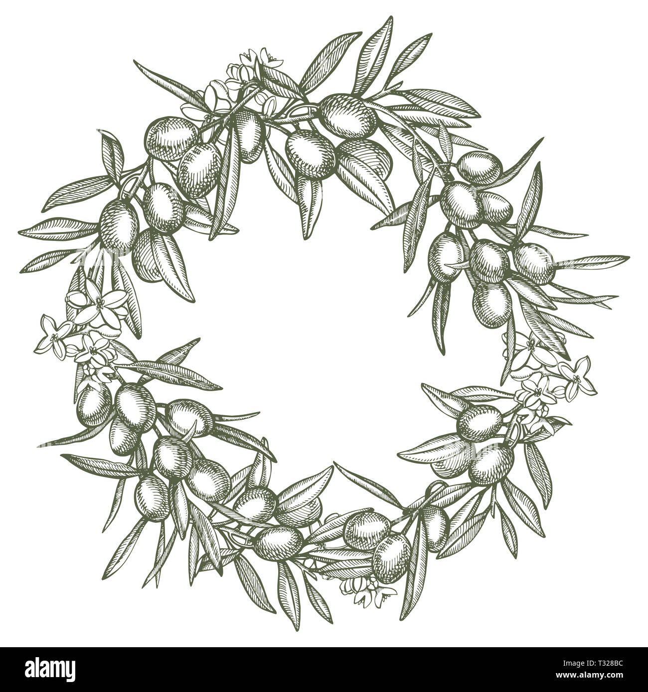 Un ramo di olive mature è succosa versata con olio. Mercato degli Agricoltori menu design. Alimenti biologici poster. Mano Vintage bozzetto illustrazione. Grap lineare Foto Stock