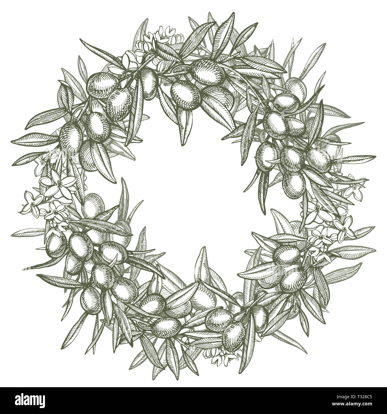 Un ramo di olive mature è succosa versata con olio. Mercato degli Agricoltori menu design. Alimenti biologici poster. Mano Vintage bozzetto illustrazione. Grap lineare Foto Stock