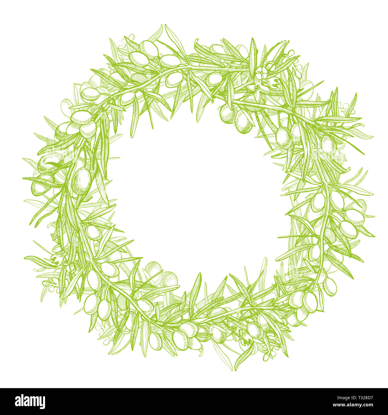 Un ramo di olive mature è succosa versata con olio. Mercato degli Agricoltori menu design. Alimenti biologici poster. Mano Vintage bozzetto illustrazione. Grap lineare Foto Stock