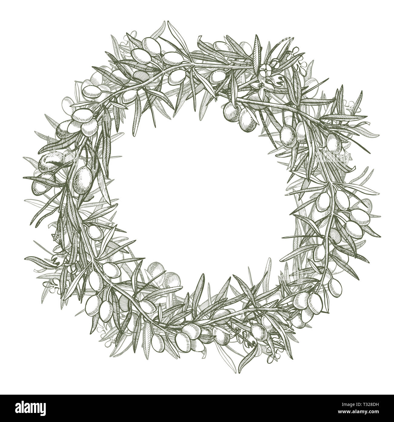 Un ramo di olive mature è succosa versata con olio. Mercato degli Agricoltori menu design. Alimenti biologici poster. Mano Vintage bozzetto illustrazione. Grap lineare Foto Stock