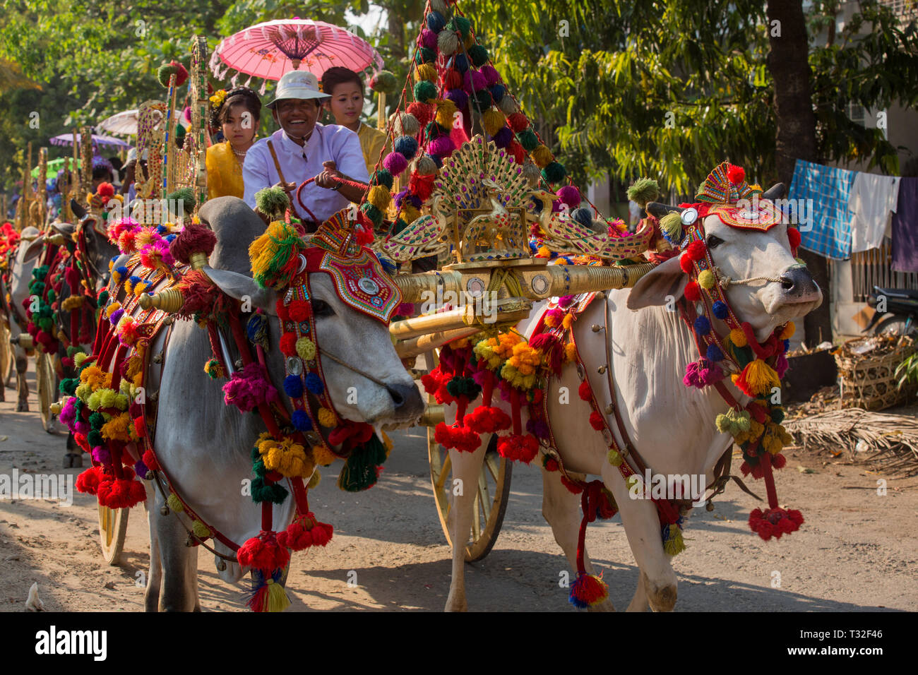 Decorate a colori vivaci ox carrelli in un tradizionale Shinbyu buddista processione per l'apertura di tutti i giovani ragazzi di esperienza di essere un debuttante m buddista Foto Stock