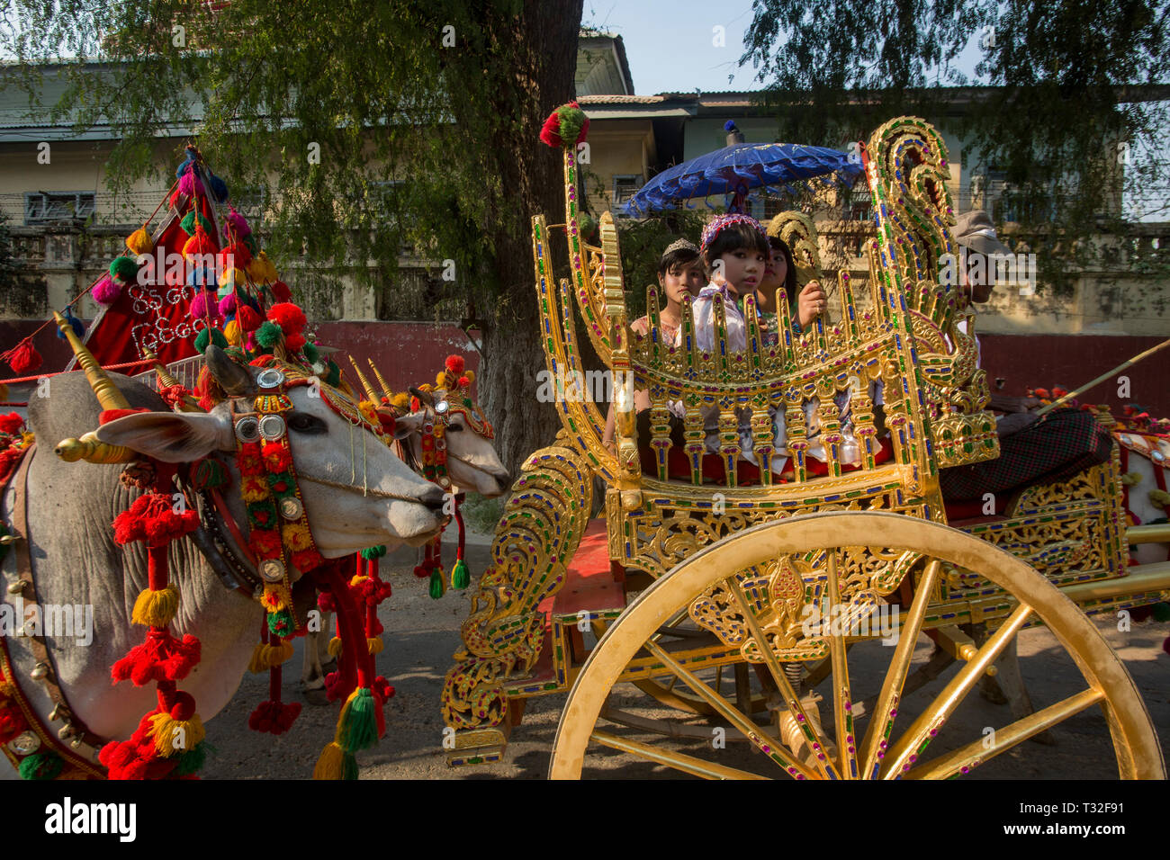 I bambini in un raffinato oxcart in un tradizionale Shinbyu buddista processione per l'apertura di tutti i giovani ragazzi di esperienza di essere un debuttante m buddista Foto Stock