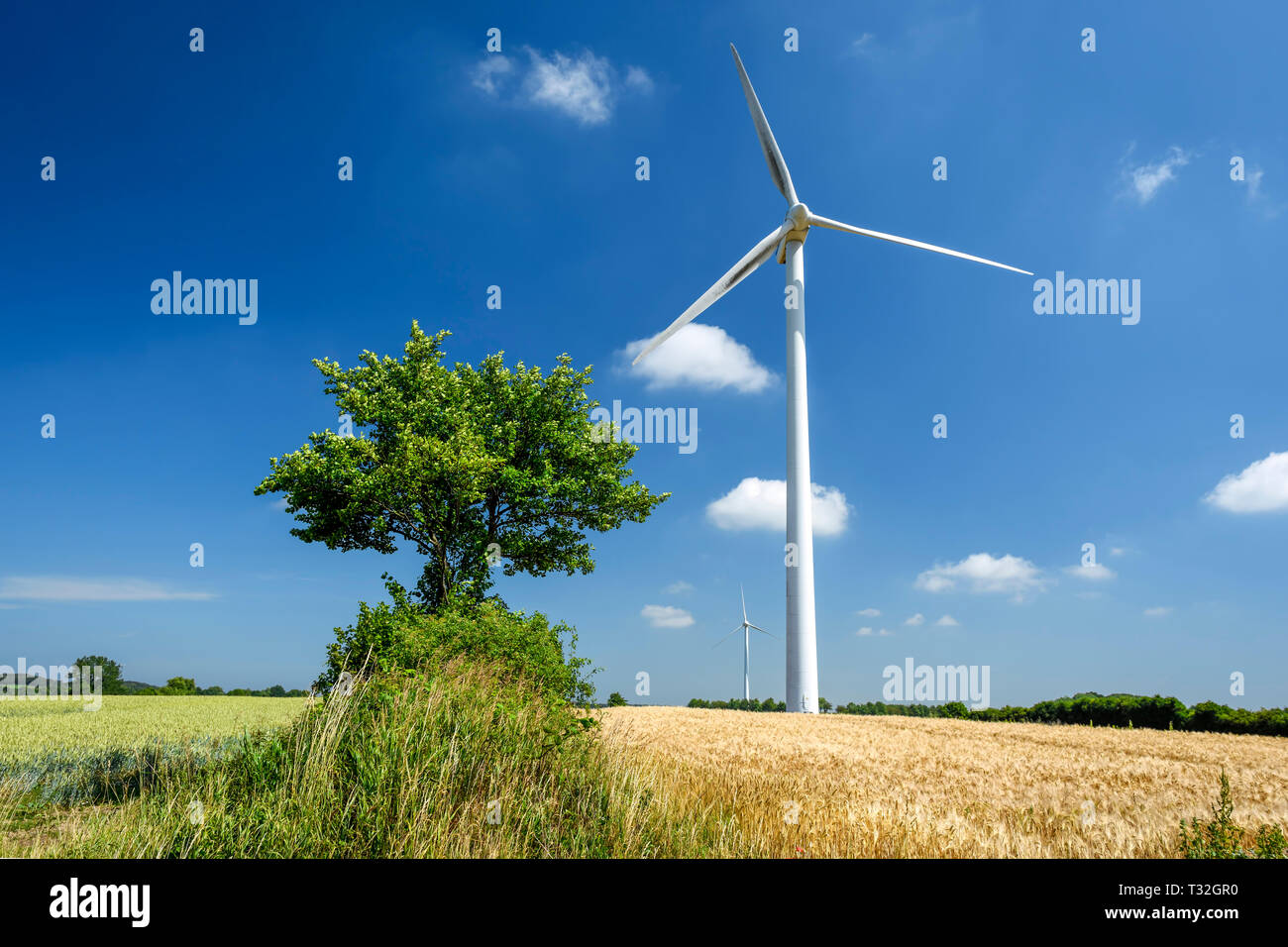 Turbina eolica nel comune di Scharbeutz NEL LAND SCHLESWIG-HOLSTEIN, Germania, Europa Windrad in der Gemeinde Scharbeutz in Schleswig-Holstein, DEU Foto Stock